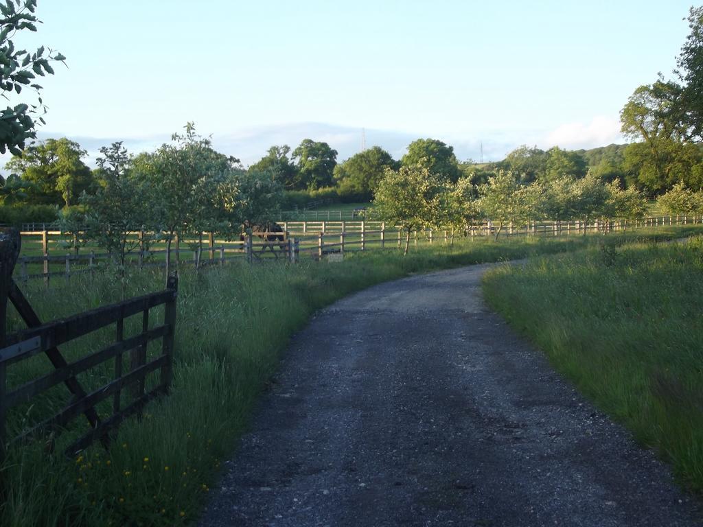 Pleck Barn Ansty (Dorset)